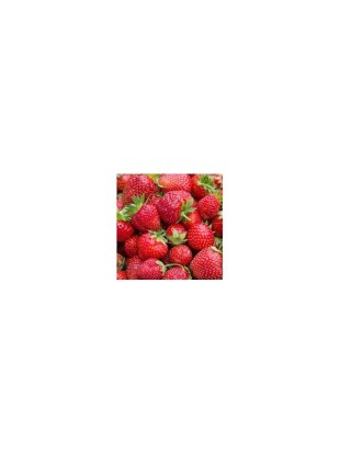 EKOLOŠKE SVEŽE JAGODE 500g-sorta ARIANA