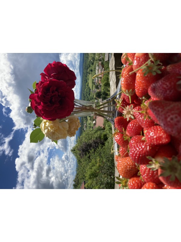 Naravni sirup iz vrtnice Crimson Glory 250 ml