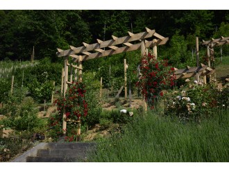 Our eco farms