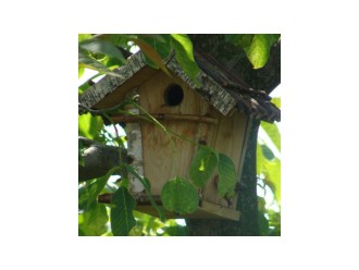 Bird house