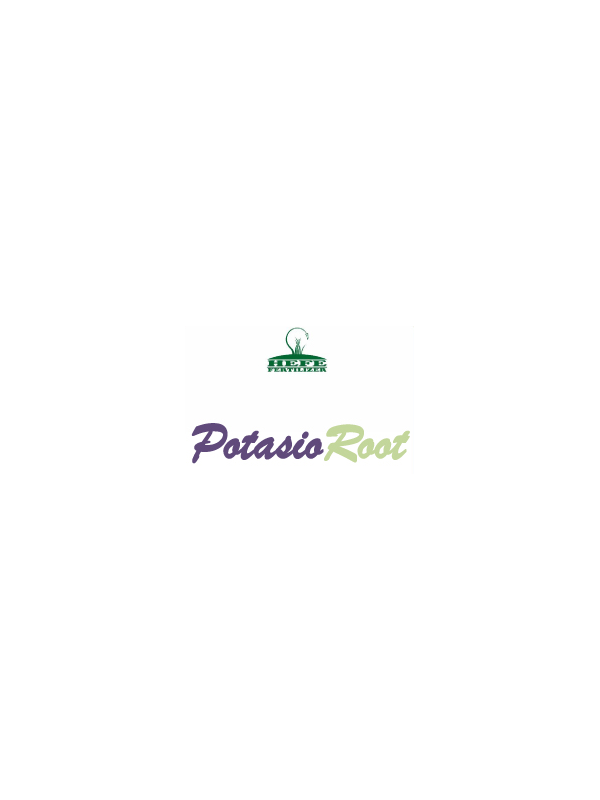 Potassio Root