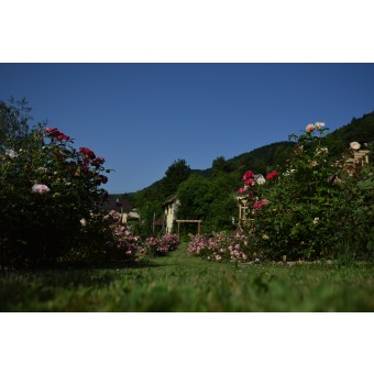 Trata-ciscenje-in-prezracevanje