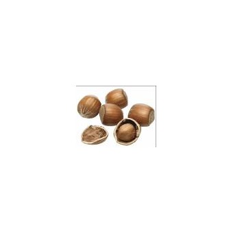 WALNUTS--HAZELNUTS