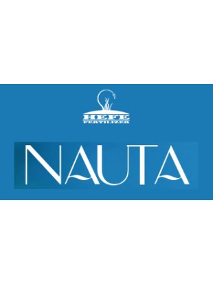 Nauta