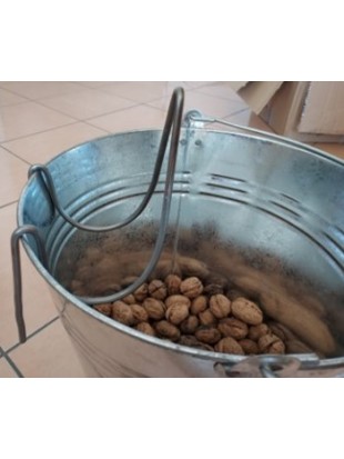 Picker for hazelnuts and walnuts