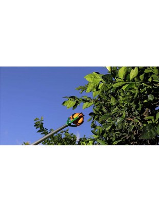Obiralec sadja s teleskopsko palico