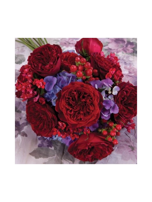 TESS OF THE D URBERVILLES