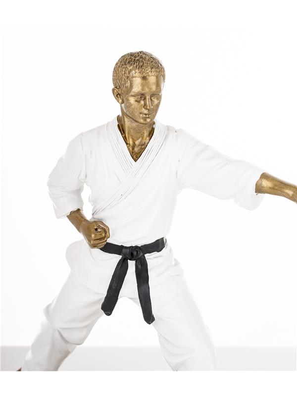 Figurka Mężczyzna Karateka