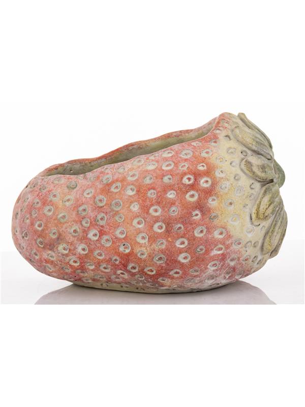 Osłonka