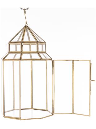Lampion