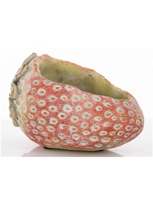 Osłonka