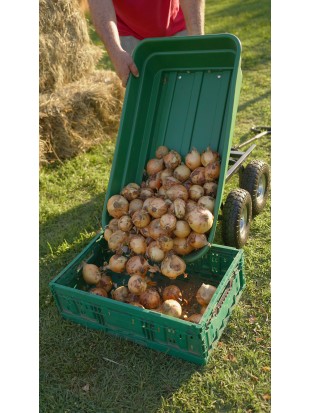 Gartenwagen mit Schalter