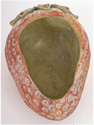 Osłonka