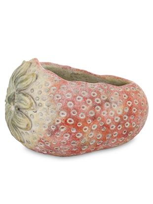 Osłonka