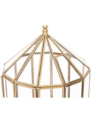 Lampion