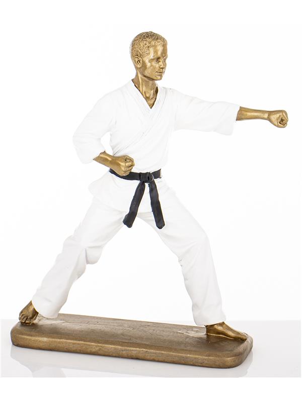 Figurka Mężczyzna Karateka