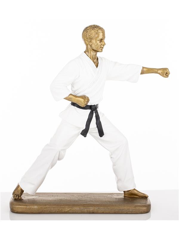 Figurka Mężczyzna Karateka